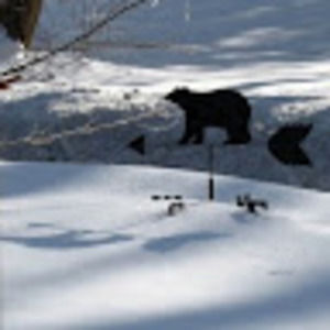 Meet your Posher, Ann